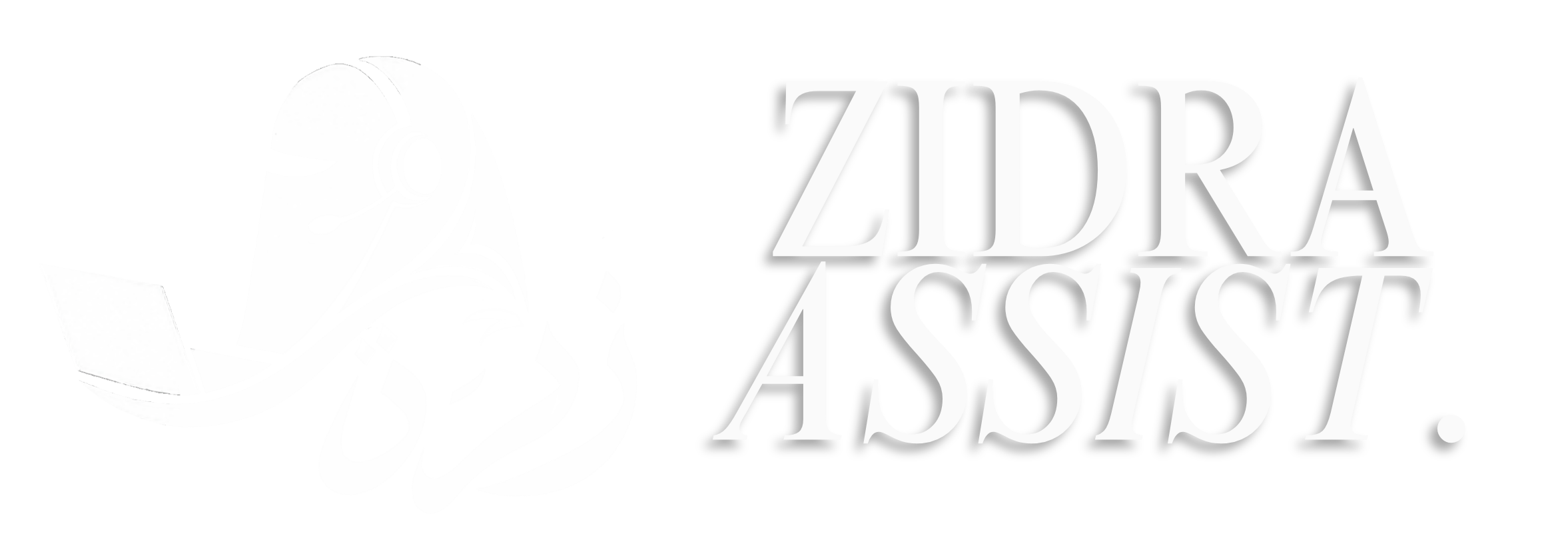 Zidra Assist